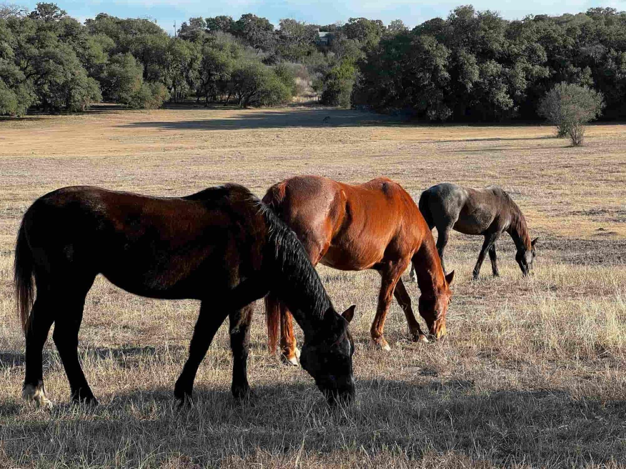 Отель Crc Ranch Retreat Бандера Экстерьер фото